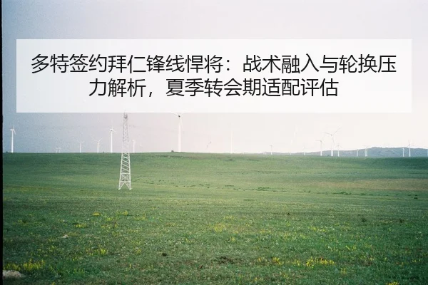 多特签约拜仁锋线悍将：战术融入与轮换压力解析，夏季转会期适配评估